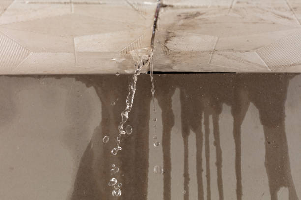 Professional Water Damage Inspection technician working in Rockville, MD